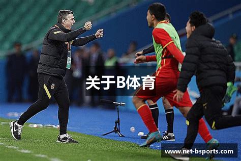 可视化驾驶舱 完美体育